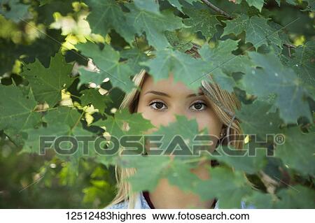 A teenage girl with blond hair and brown eyes standing in the foliage of a tree with her face obscured by leaves; Connecticut, United States of America View Large Photo Image Stock Photograph - A teenage girl with blond hair and brown eyes standing in the foliage of a tree with her face obscured by leaves; Connecticut, United States of America. Fotosearch