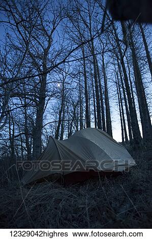 A tent set up in a forest at dusk with a silhouette of the tree trunks and full moon; Alaska, United States of America View Large Photo Image Stock Photograph - A tent set up in a forest at dusk with a silhouette of the tree trunks and full moon; Alaska, United States of America. Fotosearch