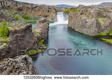 A wide angle view of the beautiful tourist stop at Hjalparfoss, Iceland where a pair of waterfalls and crystal blue water flow between fields of lupine flowers; Iceland View Large Photo Image Stock Photograph - A wide angle view of the beautiful tourist stop at Hjalparfoss, Iceland where a pair of waterfalls and crystal blue water flow between fields of lupine flowers; Iceland. Fotosearch