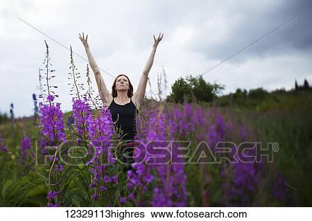 Stock Photograph - A woman doing yoga in a meadow with fireweed (Chamaenerion angustifolium); Homer, Alaska, United States of America. Fotosearch