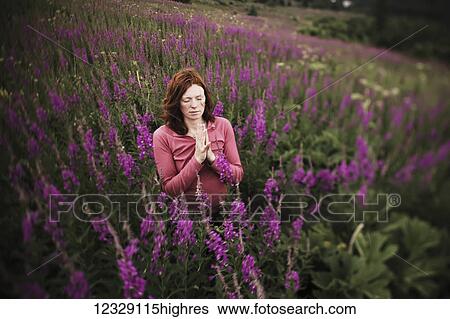 A woman doing yoga in a meadow with fireweed (Chamaenerion angustifolium); Homer, Alaska, United States of America View Large Photo Image Stock Photograph - A woman doing yoga in a meadow with fireweed (Chamaenerion angustifolium); Homer, Alaska, United States of America. Fotosearch