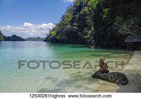 Stock Photograph - A woman in a bikini sits on a rock along a tropical coastline; Andaman Islands, India. Fotosearch