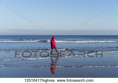 Stock Photograph - A woman in a red coat and rubber boots walks in the shallow water along the shore with the blue sky and ocean; Bamburgh, Northumberland, England. Fotosearch