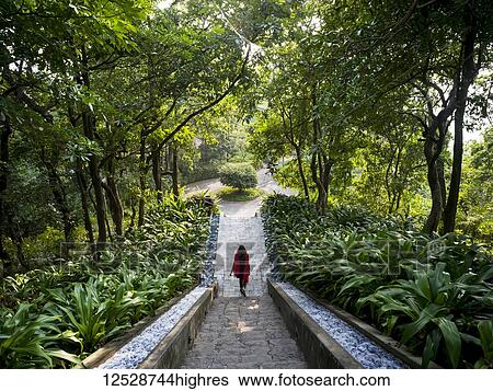 A woman walks down stairs surrounded by lush foliage, Ananda Hotel and Spa; Uttarakhand, India View Large Photo Image Stock Photograph - A woman walks down stairs surrounded by lush foliage, Ananda Hotel and Spa; Uttarakhand, India. Fotosearch
