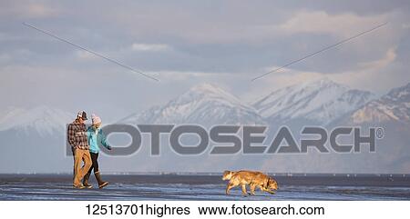 A young couple walking on a beach and holding hands with their dog, and a view of a mountain range in the distance; Anchorage, Alaska, United States of America View Large Photo Image Stock Photograph - A young couple walking on a beach and holding hands with their dog, and a view of a mountain range in the distance; Anchorage, Alaska, United States of America. Fotosearch