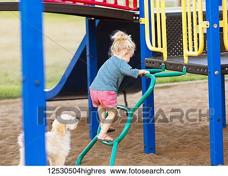 Stock Photograph - A young girl playing in a playground on a warm fall day with her pet dog by her side; Spruce Grove, Alberta, Canada. Fotosearch