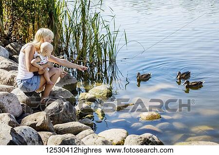 Stock Photograph - A young mother with enjoying quality time outdoors with her baby daughter watching and feeding some ducks together in a city park on a warm summer day; Edmonton, Alberta, Canada. Fotosearch
