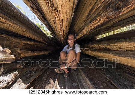 Stock Photograph - A young woman sits inside a hallowed tree trunk in Goldstream Provincial Park, Vancouver Island; British Columbia, Canada. Fotosearch