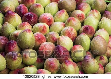 Stock Photograph - Abundance of Mangoes wet with water droplets for sale in the Old Quarter; Hanoi, Hanoi, Vietnam. Fotosearch