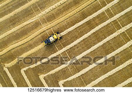 Stock Photograph - Aerial artistic view directly above a combine collecting lines of grain; Beiseker, Alberta, Canada. Fotosearch