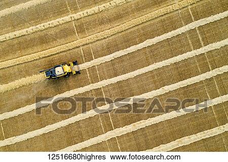 Stock Photograph - Aerial artistic view directly above a combine collecting lines of grain; Beiseker, Alberta, Canada. Fotosearch