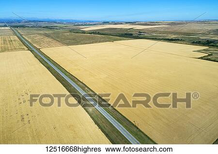 Aerial view of golden fields divided by a road and mountains in the distance with blue sky; Alberta, Canada View Large Photo Image Stock Photograph - Aerial view of golden fields divided by a road and mountains in the distance with blue sky; Alberta, Canada. Fotosearch