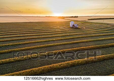 Aerial views of canola harvest lines glowing at sunset; Blackie, Alberta, Canada View Large Photo Image Stock Photograph - Aerial views of canola harvest lines glowing at sunset; Blackie, Alberta, Canada. Fotosearch