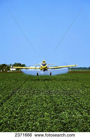 Agriculture - Aerial pesticide application on a mid growth soybean field / Mississippi, USA. View Large Photo Image Stock Photograph - Agriculture - Aerial pesticide application on a mid growth soybean field / Mississippi, USA.. Fotosearch