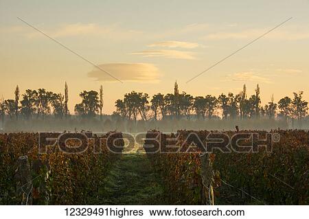 Stock Photograph - Agriculture. Fotosearch