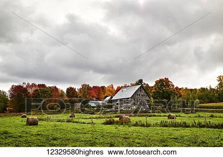 Agriculture View Large Photo Image Stock Photograph - Agriculture. Fotosearch