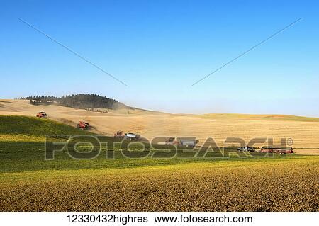Stock Photograph - Agriculture. Fotosearch