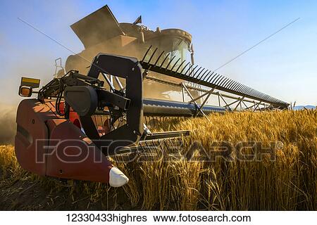 Agriculture View Large Photo Image Stock Photograph - Agriculture. Fotosearch