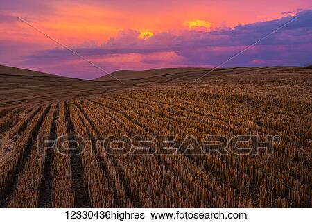 Agriculture View Large Photo Image Stock Photograph - Agriculture. Fotosearch