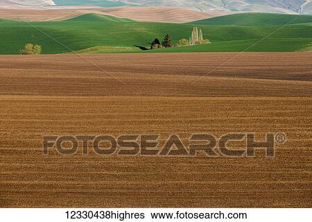 Agriculture View Large Photo Image Stock Photograph - Agriculture. Fotosearch