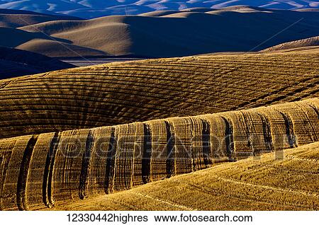 Stock Photograph - Agriculture. Fotosearch