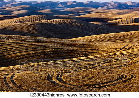 Agriculture View Large Photo Image Stock Photograph - Agriculture. Fotosearch