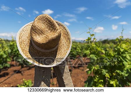 Agriculture View Large Photo Image Stock Photograph - Agriculture. Fotosearch
