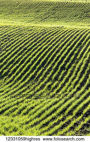Agriculture View Large Photo Image Stock Photograph - Agriculture. Fotosearch