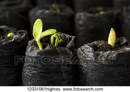 Agriculture View Large Photo Image Stock Photograph - Agriculture. Fotosearch