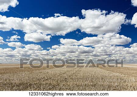 Agriculture View Large Photo Image Stock Photograph - Agriculture. Fotosearch