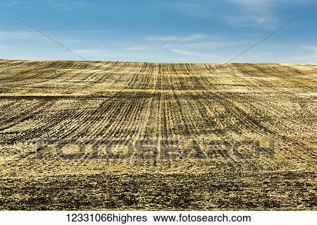 Agriculture View Large Photo Image Stock Photograph - Agriculture. Fotosearch