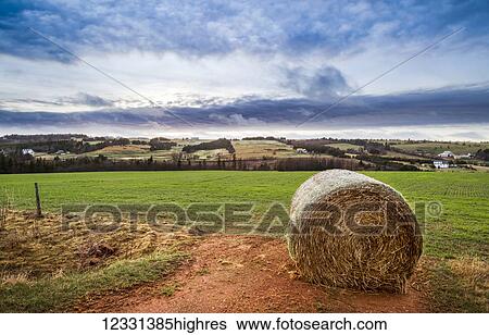 Agriculture View Large Photo Image Stock Photograph - Agriculture. Fotosearch
