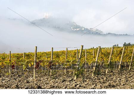Agriculture View Large Photo Image Stock Photograph - Agriculture. Fotosearch