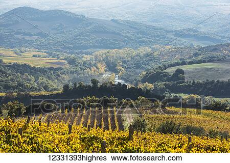 Stock Photograph - Agriculture. Fotosearch