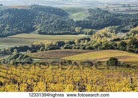 Agriculture View Large Photo Image Stock Photograph - Agriculture. Fotosearch