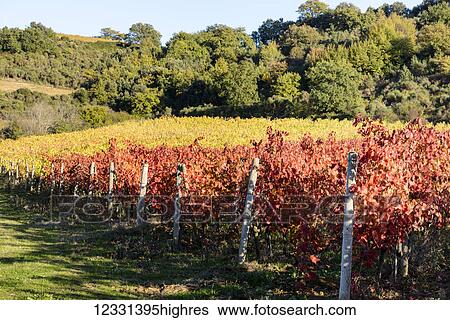 Agriculture View Large Photo Image Stock Photograph - Agriculture. Fotosearch