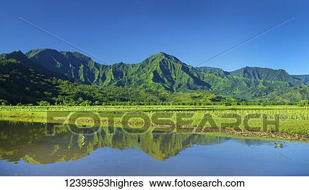 Stock Photograph - Agriculture. Fotosearch