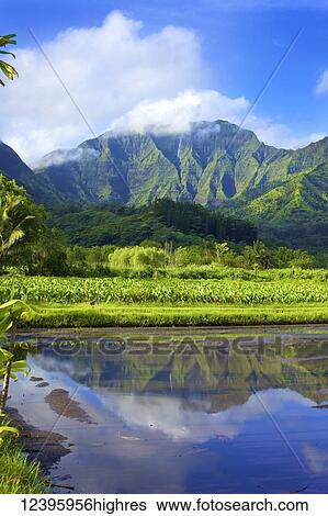 Agriculture View Large Photo Image Stock Photograph - Agriculture. Fotosearch