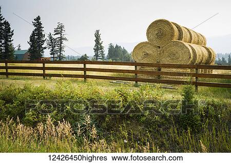 Agriculture View Large Photo Image Stock Photograph - Agriculture. Fotosearch