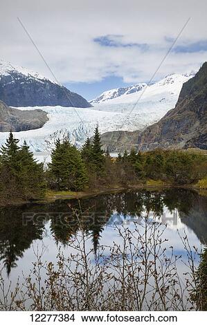 Alaska, Juneau, Mendenhall Glacier and Coast Mountains, Southeast Alaska, Summer View Large Photo Image Picture - Alaska, Juneau, Mendenhall Glacier and Coast Mountains, Southeast Alaska, Summer. Fotosearch