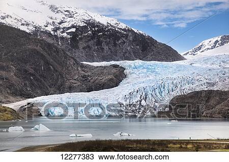 Alaska, Juneau, Mendenhall Glacier and Coast Mountains, Southeast Alaska, Summer View Large Photo Image Stock Image - Alaska, Juneau, Mendenhall Glacier and Coast Mountains, Southeast Alaska, Summer. Fotosearch