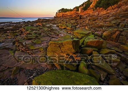 Stock Photograph - Algae coloured rocks and coastline during low tide in the last light of sunset near Cranberry Head, Raven Head Wilderness along Chignecto Bay; Nova Scotia, Canada. Fotosearch