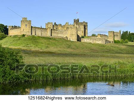 Stock Photograph - Alnwick Castle and ducks on the River Aln in the foreground; Alnwick, Northumberland, England. Fotosearch