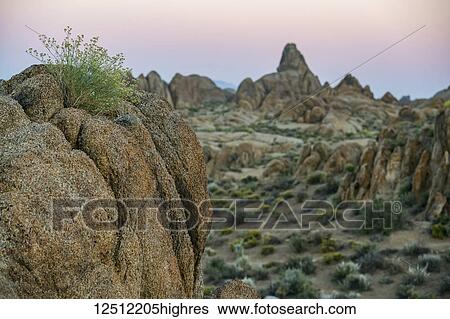 Alpenglow in the skies over the Alabama Hills, California; California, United States of America View Large Photo Image Stock Photograph - Alpenglow in the skies over the Alabama Hills, California; California, United States of America. Fotosearch