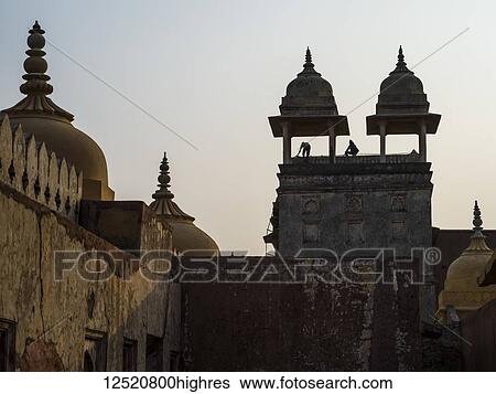 Amer Fort; Jaipur, Rajasthan, India View Large Photo Image Stock Photograph - Amer Fort; Jaipur, Rajasthan, India. Fotosearch