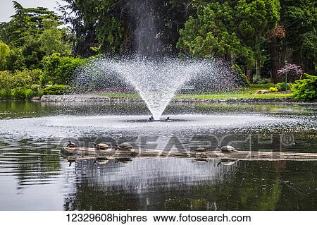 Animals View Large Photo Image Stock Photograph - Animals. Fotosearch