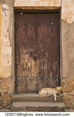 Animals View Large Photo Image Stock Photograph - Animals. Fotosearch