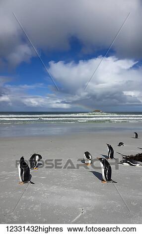 Stock Photograph - Animals. Fotosearch