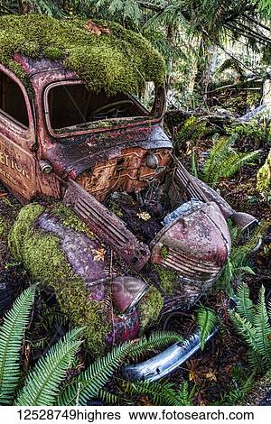 Arty image of derelict motor car in a ditch overgrown with moss and ferns, Vancouver Island; British Columbia, Canada View Large Photo Image Stock Photograph - Arty image of derelict motor car in a ditch overgrown with moss and ferns, Vancouver Island; British Columbia, Canada. Fotosearch
