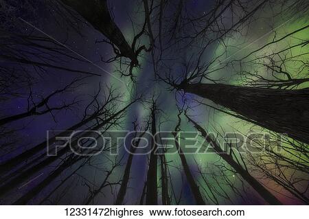 Astronomy View Large Photo Image Stock Photograph - Astronomy. Fotosearch